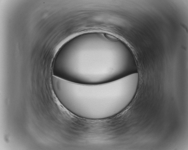 X0000099531534200805160713