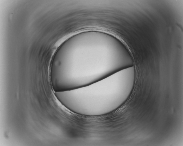 X0000099531535200805160713