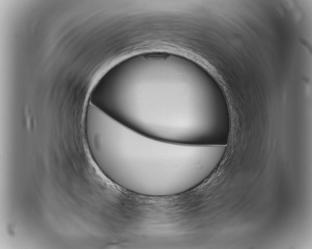 X0000099531536200805160713