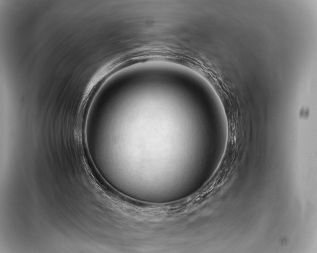 X0000099530004200805161222