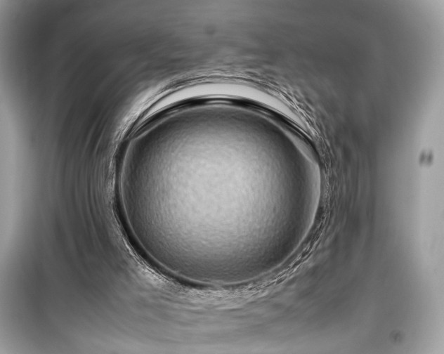 X0000099530005200805161222