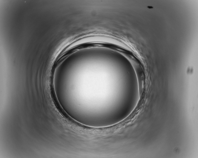 X0000099530007200805161222