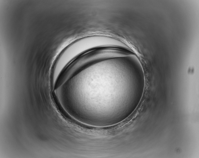 X0000099530008200805161222