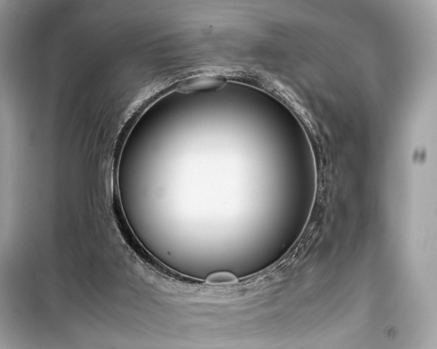 X0000099530011200805161222