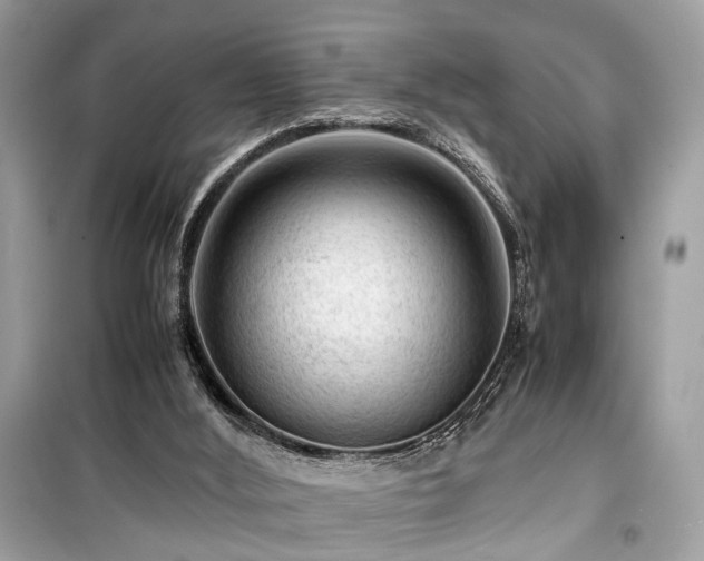 X0000099530012200805161222