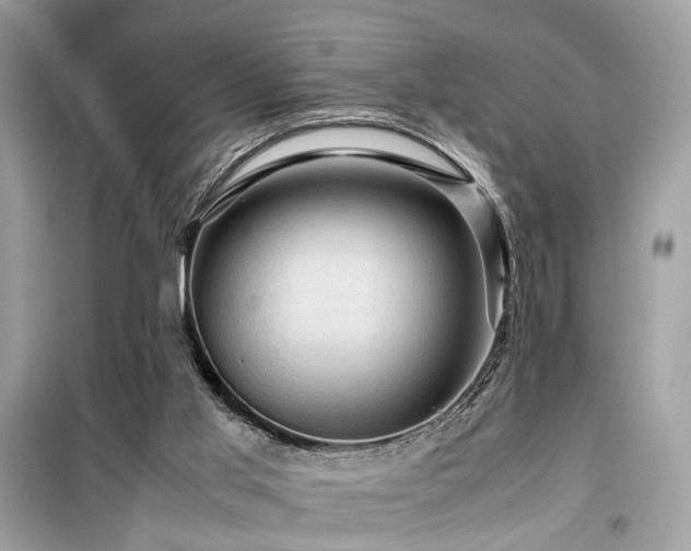 X0000099530013200805161222