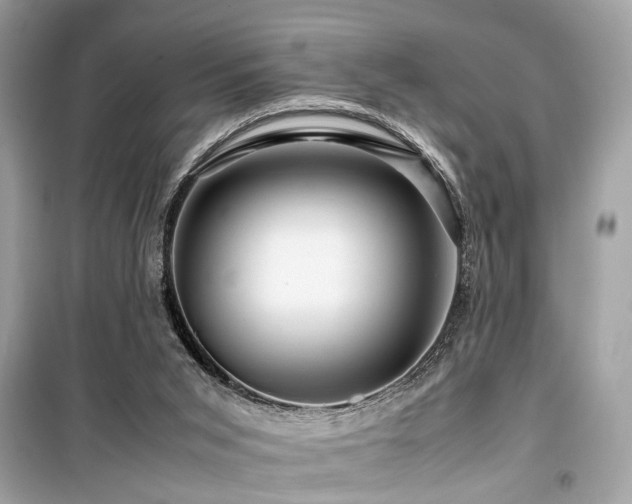 X0000099530015200805161222