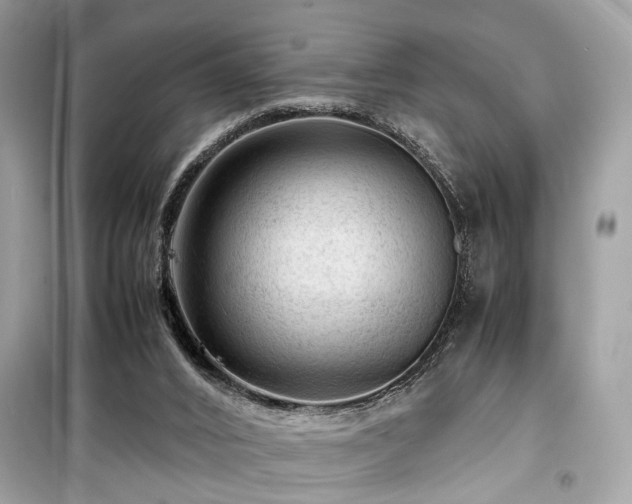 X0000099530016200805161222