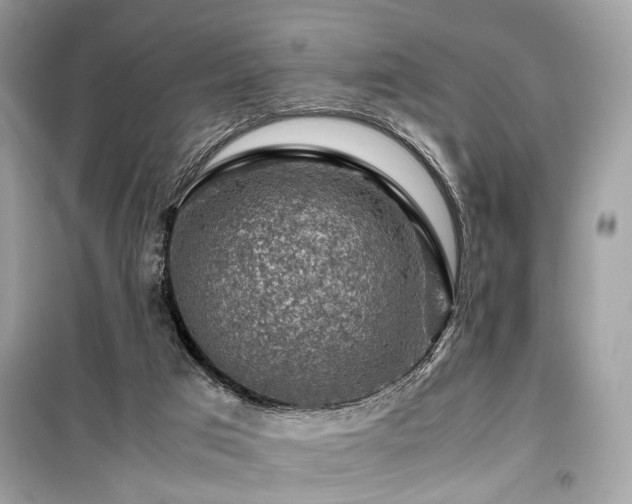 X0000099530017200805161222