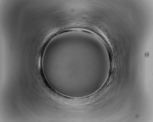 X0000099530019200805161222