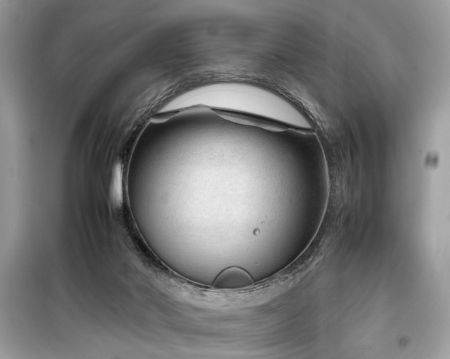X0000099530022200805161222