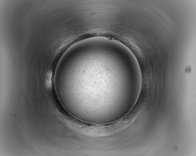 X0000099530024200805161222