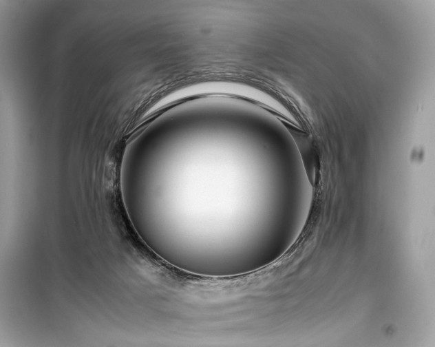 X0000099530025200805161222