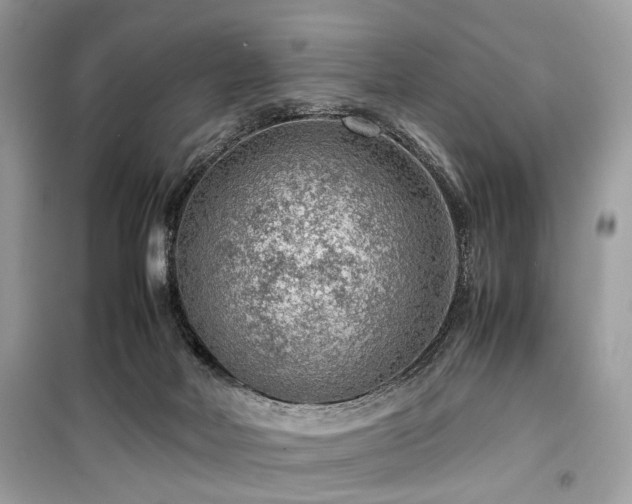 X0000099530026200805161222