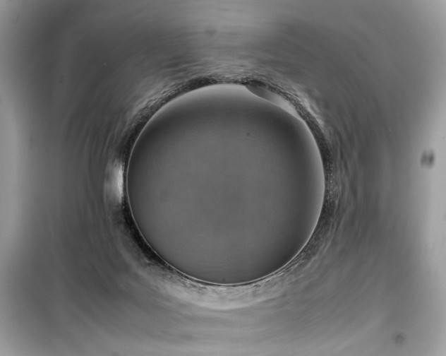 X0000099530027200805161222