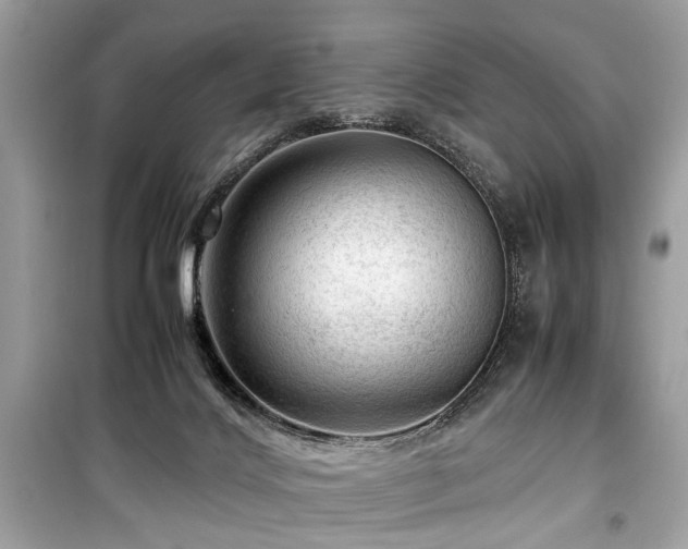 X0000099530028200805161222