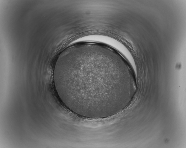 X0000099530029200805161222