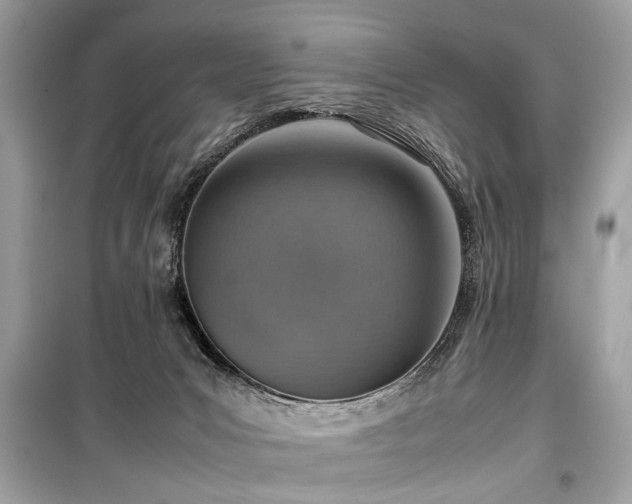 X0000099530031200805161222