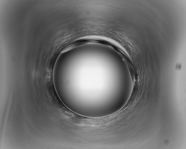 X0000099530033200805161222