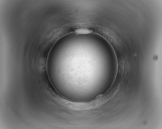 X0000099530034200805161222