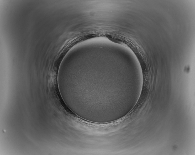 X0000099530035200805161222