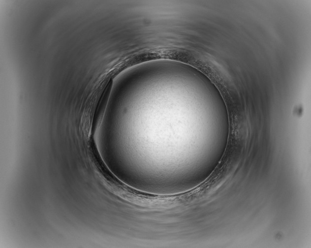 X0000099530036200805161222