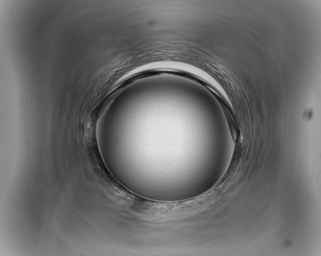 X0000099530037200805161222