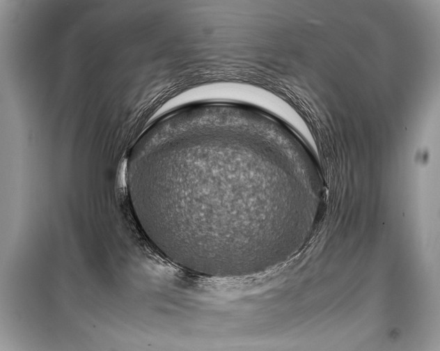X0000099530041200805161222
