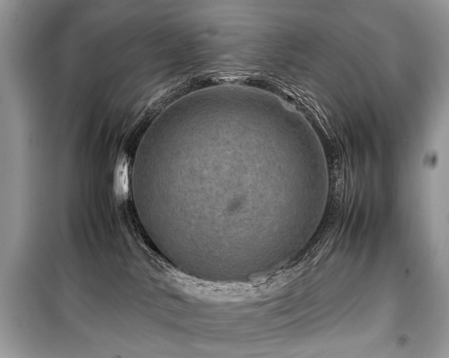 X0000099530042200805161222