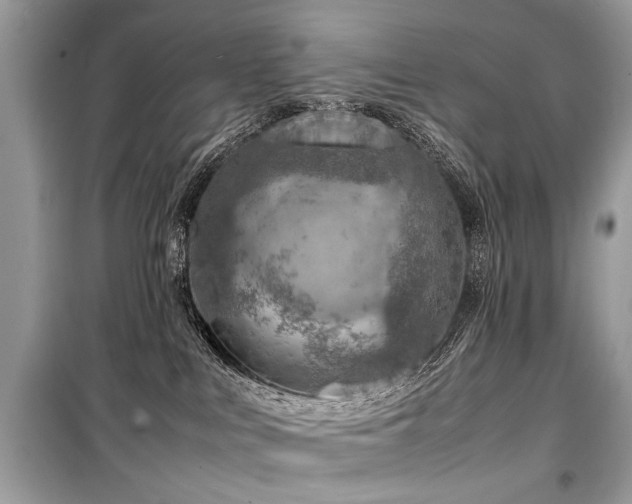 X0000099530043200805161222