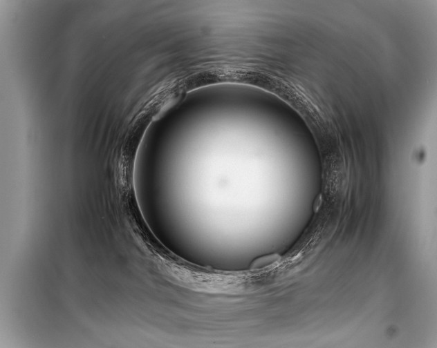 X0000099530044200805161222