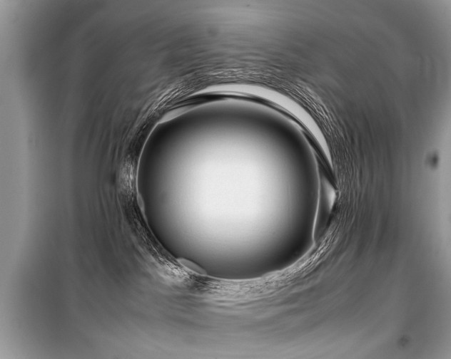 X0000099530045200805161222