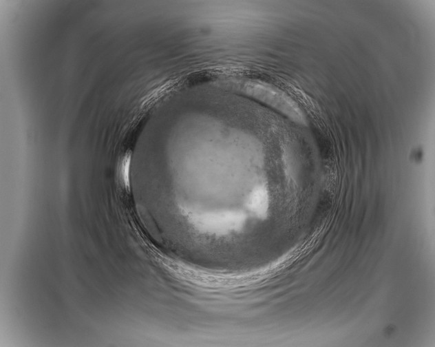X0000099530047200805161222