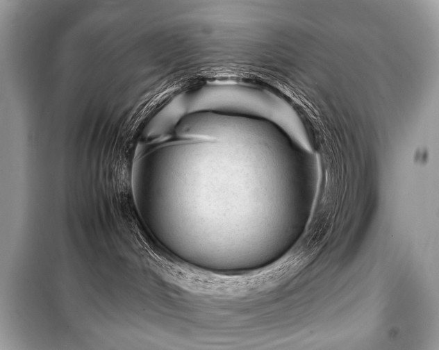X0000099530048200805161222
