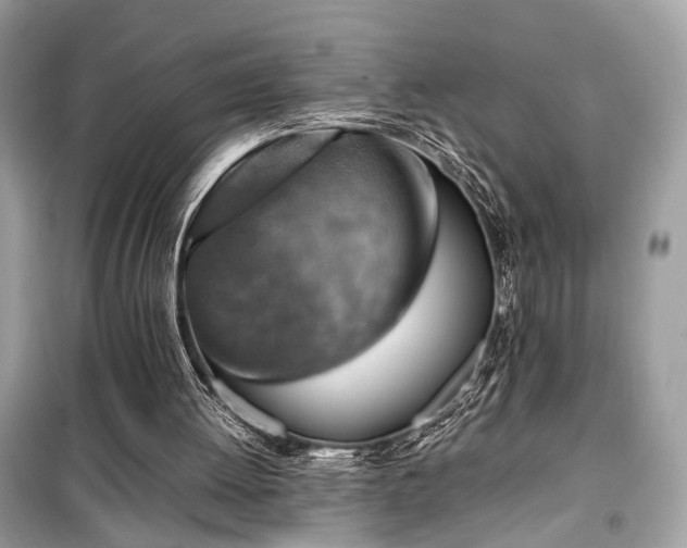 X0000099530052200805161221