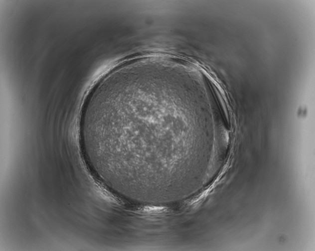 X0000099530055200805161221