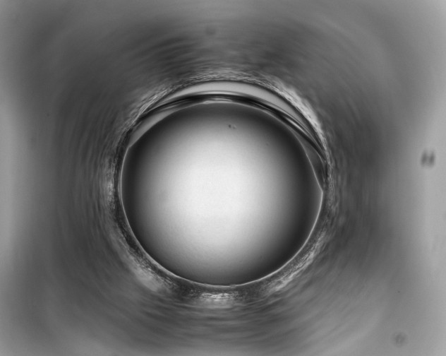 X0000099530057200805161221