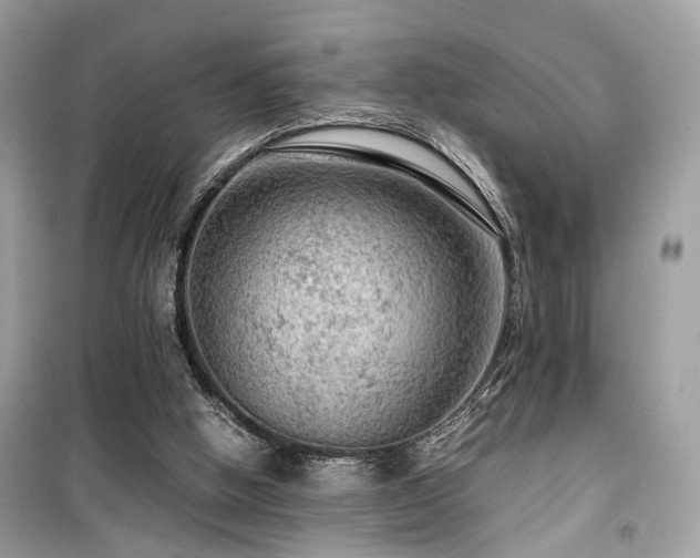 X0000099530058200805161221