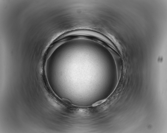 X0000099530060200805161221