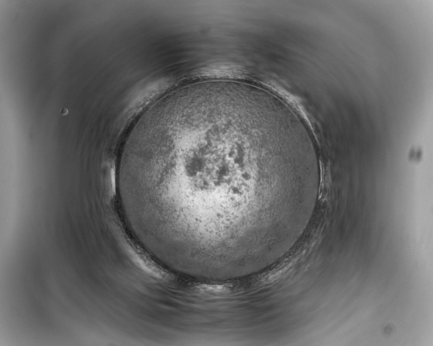 X0000099530061200805161221