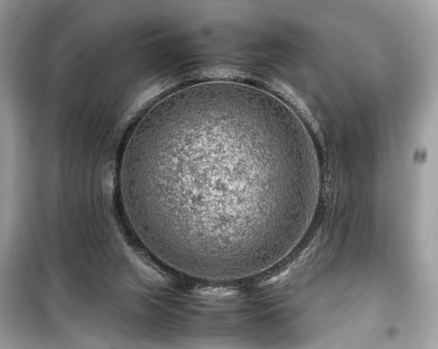 X0000099530063200805161221
