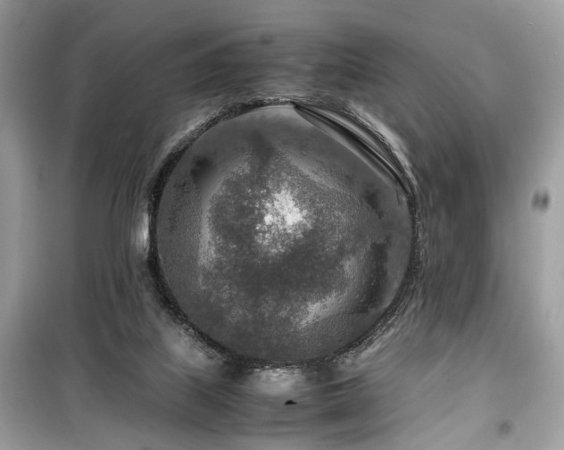 X0000099530067200805161221