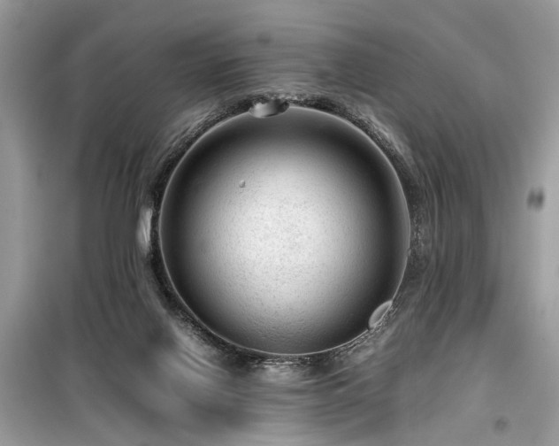 X0000099530070200805161221