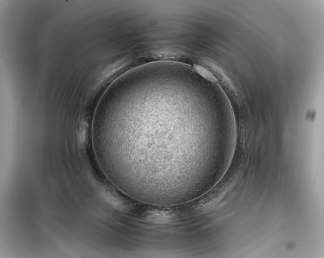 X0000099530071200805161221