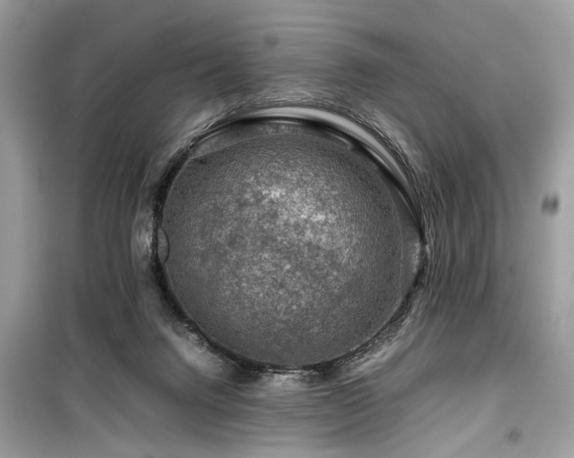 X0000099530072200805161221