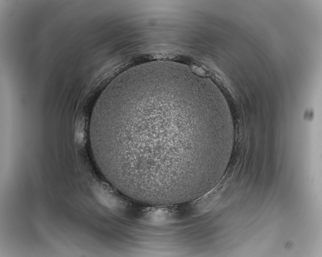 X0000099530074200805161221