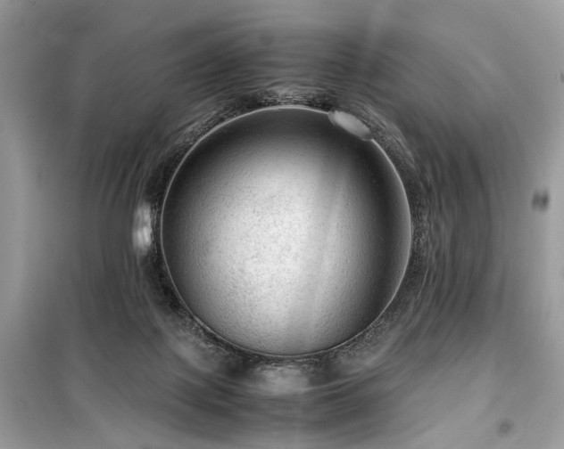 X0000099530075200805161221