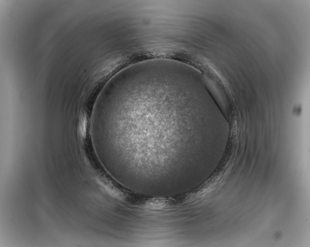 X0000099530076200805161221