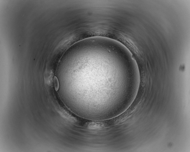 X0000099530077200805161221