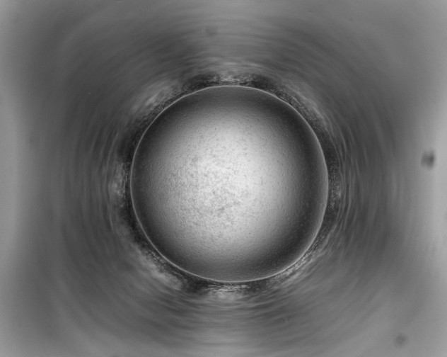 X0000099530078200805161221
